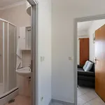 House Ra Ica - One Bedroom With Terrace And Sea View 3 * Molunat